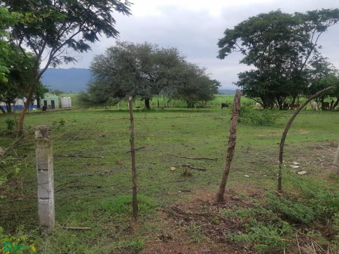 Terreno en Buenavista, Jalisco, México 3 - 17814525