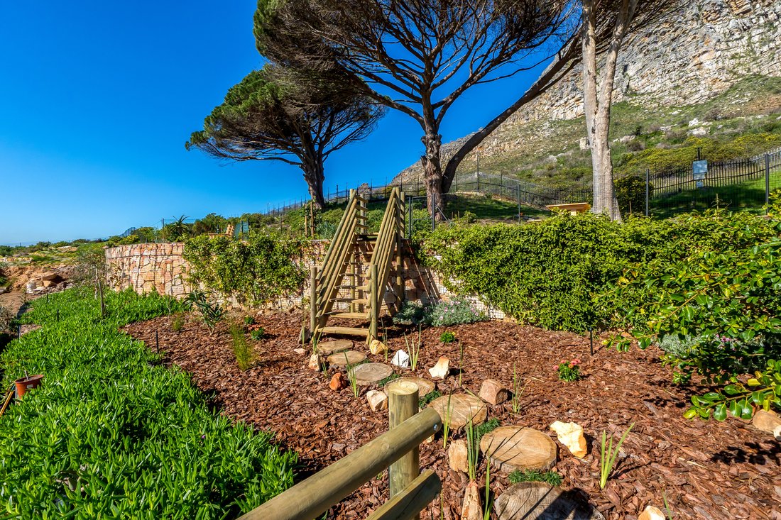 House in Tokai, Muizenberg Mountains, Cape Town 4 - 18187579