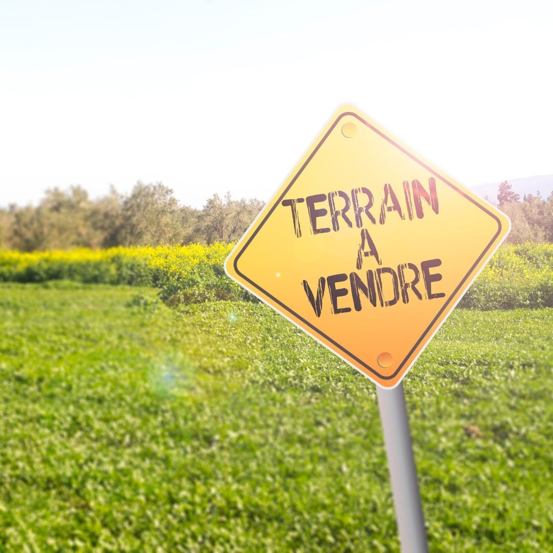 Land in Poulfranc et Marais, Sene, France 2 - 18631430