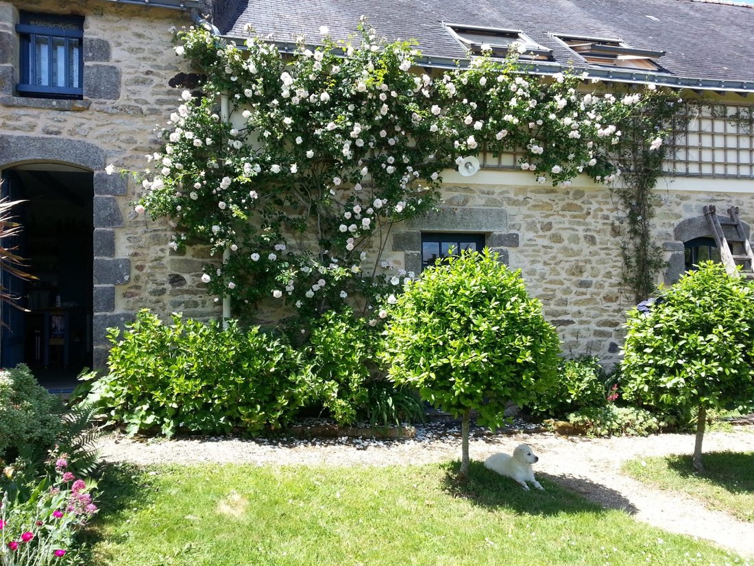 Haus in Surzur, Bretagne, Frankreich 3 - 18631488