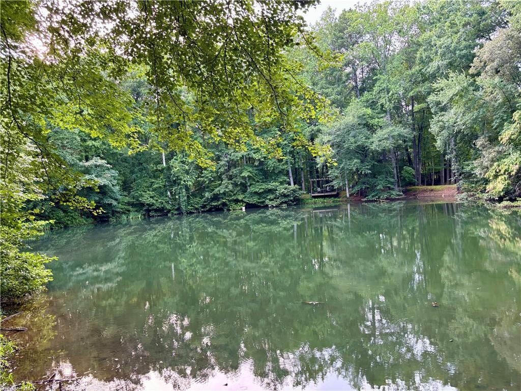 House in Marietta, Georgia, United States 1 - 18569156