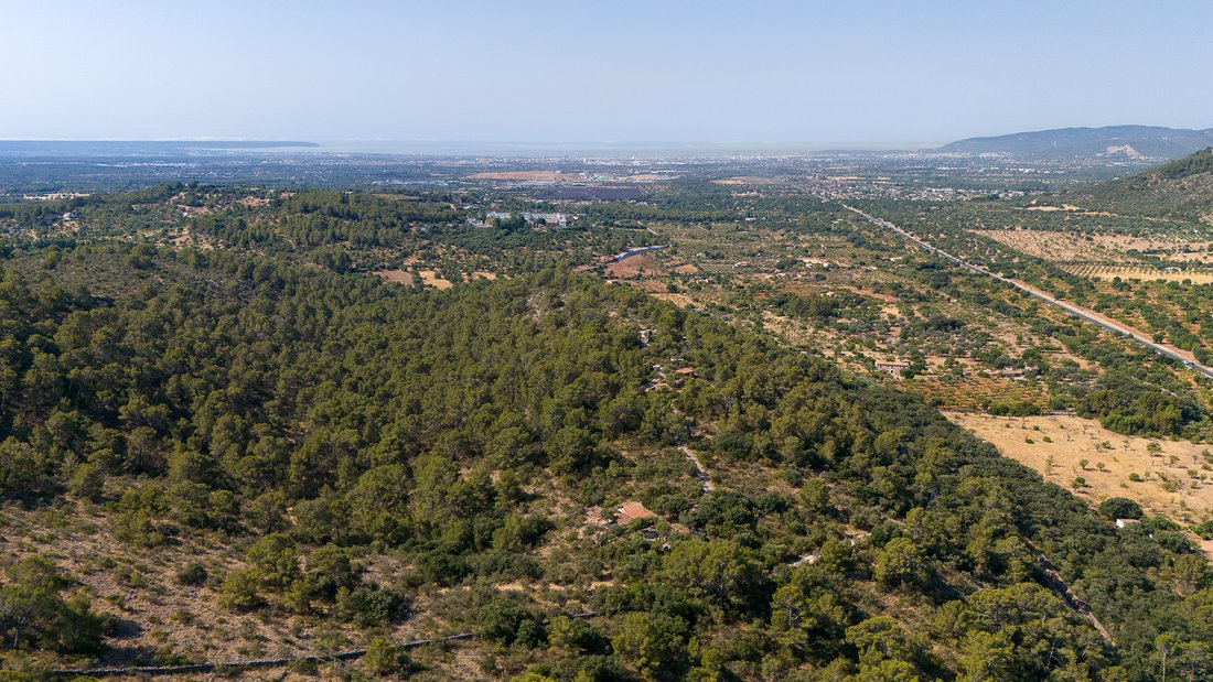 Land in Bunyola, Balearic Islands, Spain 2 - 18631758