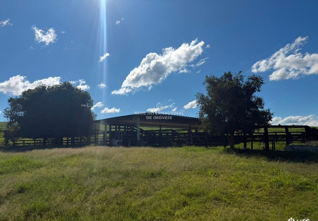 Farm Ranch in Riversul, State of São Paulo, Brazil 1 - 18632002