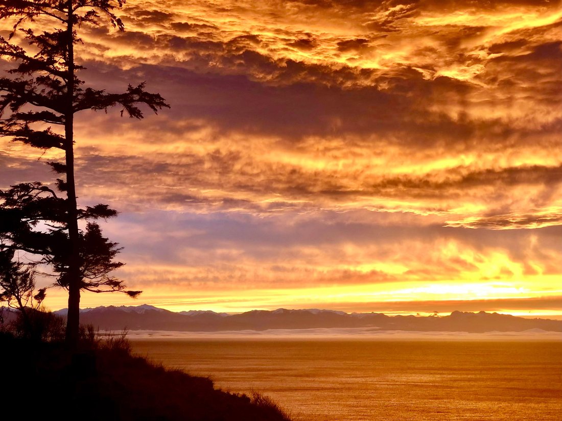 Condo in Oak Harbor, Washington, United States 5 - 18631962