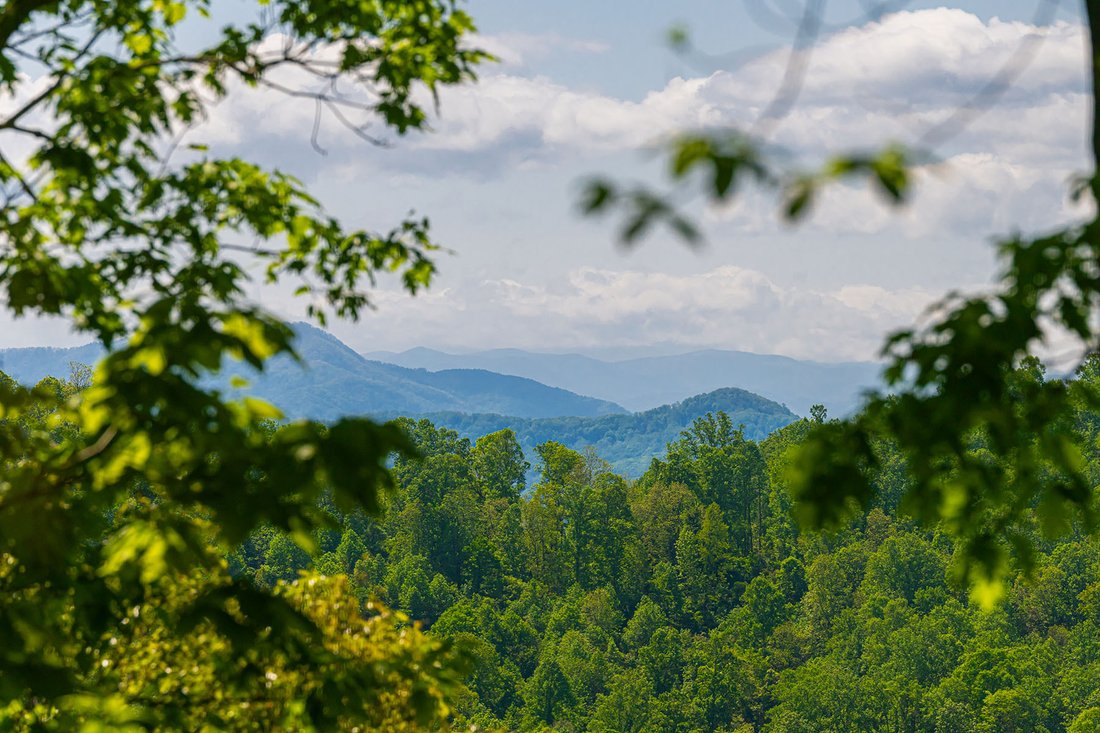 House in Asheville, North Carolina, United States 4 - 17842598