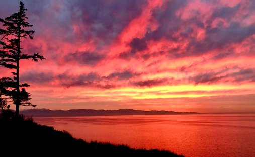 Condo in Oak Harbor, Washington, United States 1