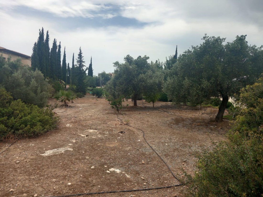 Land in Kouklia, Paphos, Cyprus 2 - 16502777