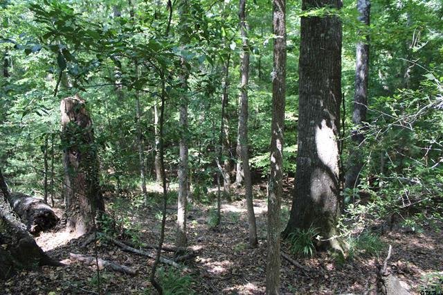Land in Jacksonville, Texas, United States 5 - 18636787