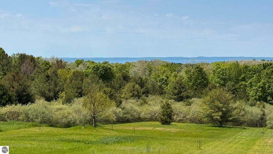 House in Central Lake, Michigan, United States 3 - 18635915
