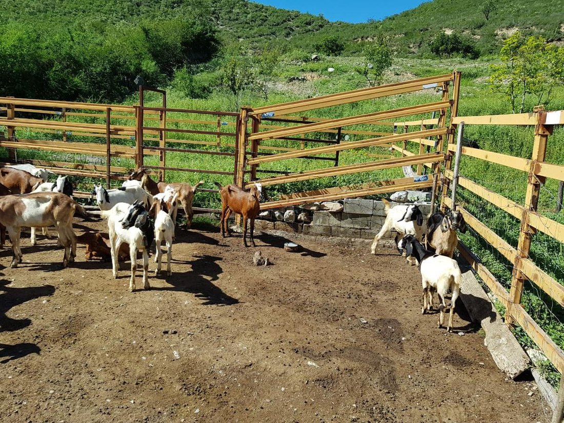 Land in San Antonio de Peñitas, Nuevo Leon, Mexico 2 - 18636958