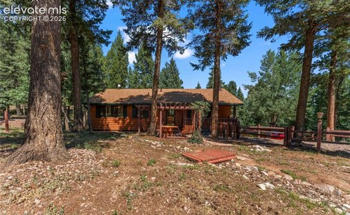 House in Westcreek, Colorado, United States 1