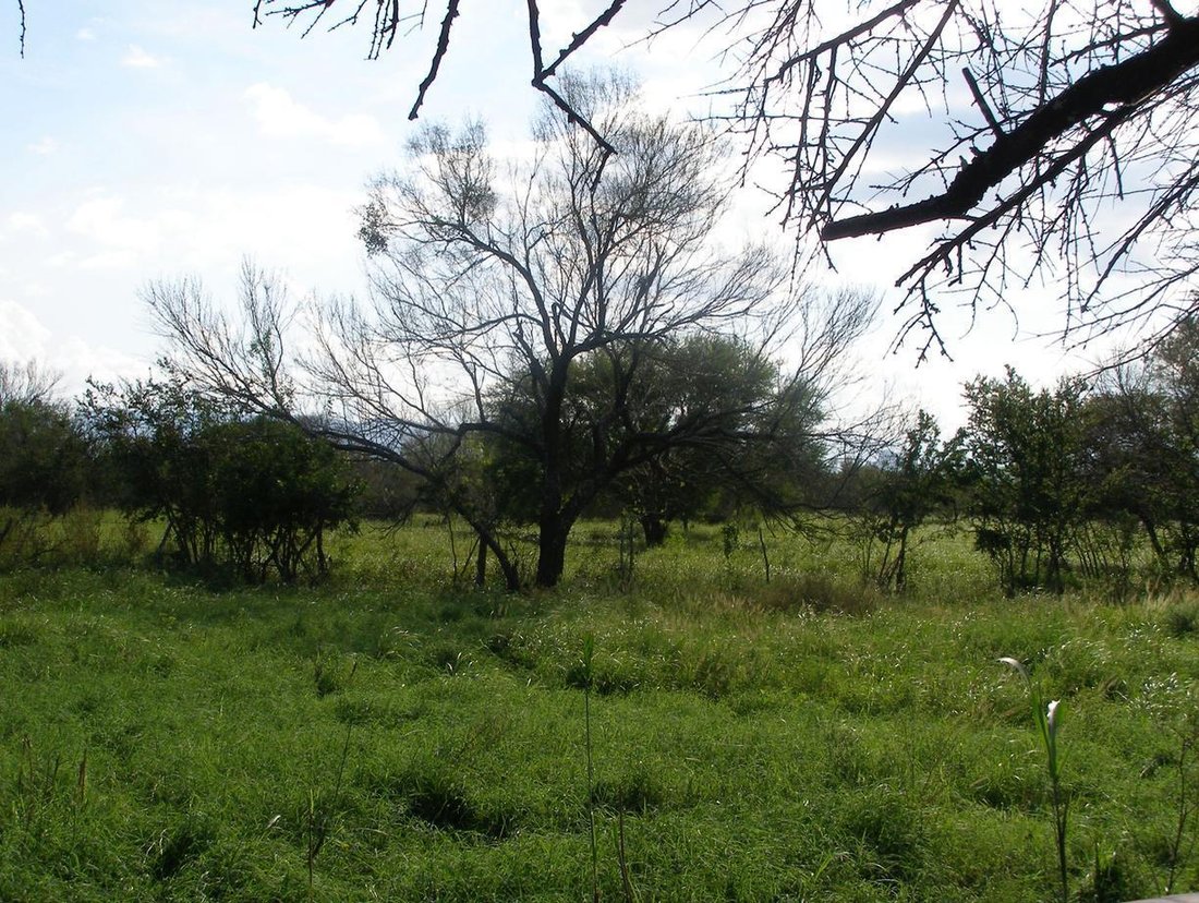 Land in Ciudad Sabinas Hidalgo, Nuevo Leon, Mexico 3 - 18637043
