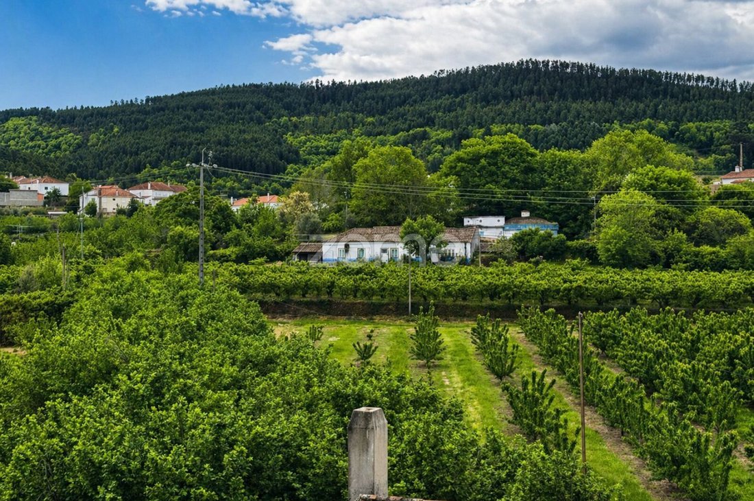 Finca in Alcaide, Castelo Branco District, Portugal 1 - 18639164