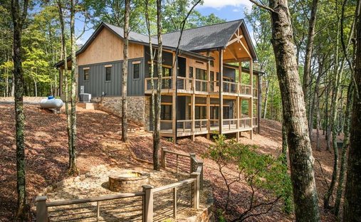 Maison à Mineral Bluff, Géorgie, États-Unis 1