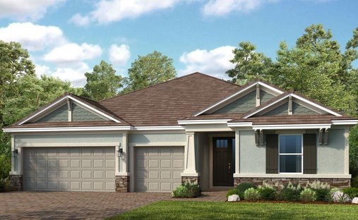 House in Odessa, Florida, United States 1