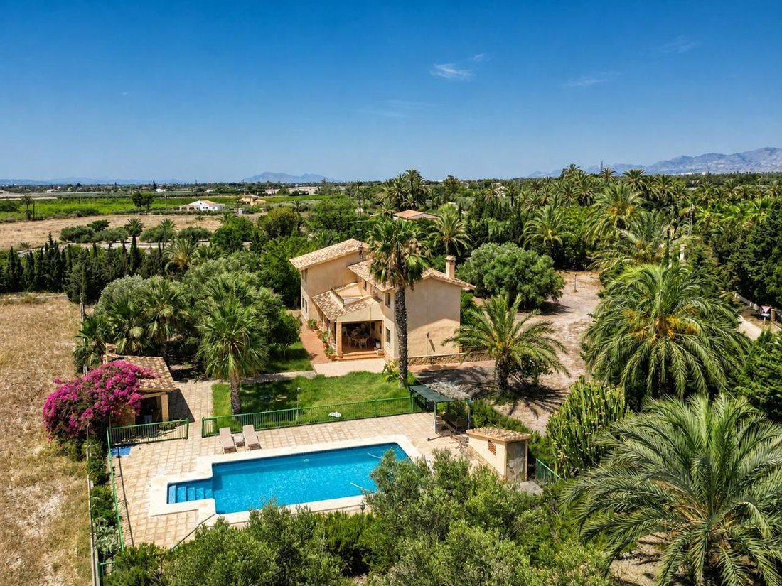 Villa in Elx / Elche, Valencian Community, Spain 1 - 18634522