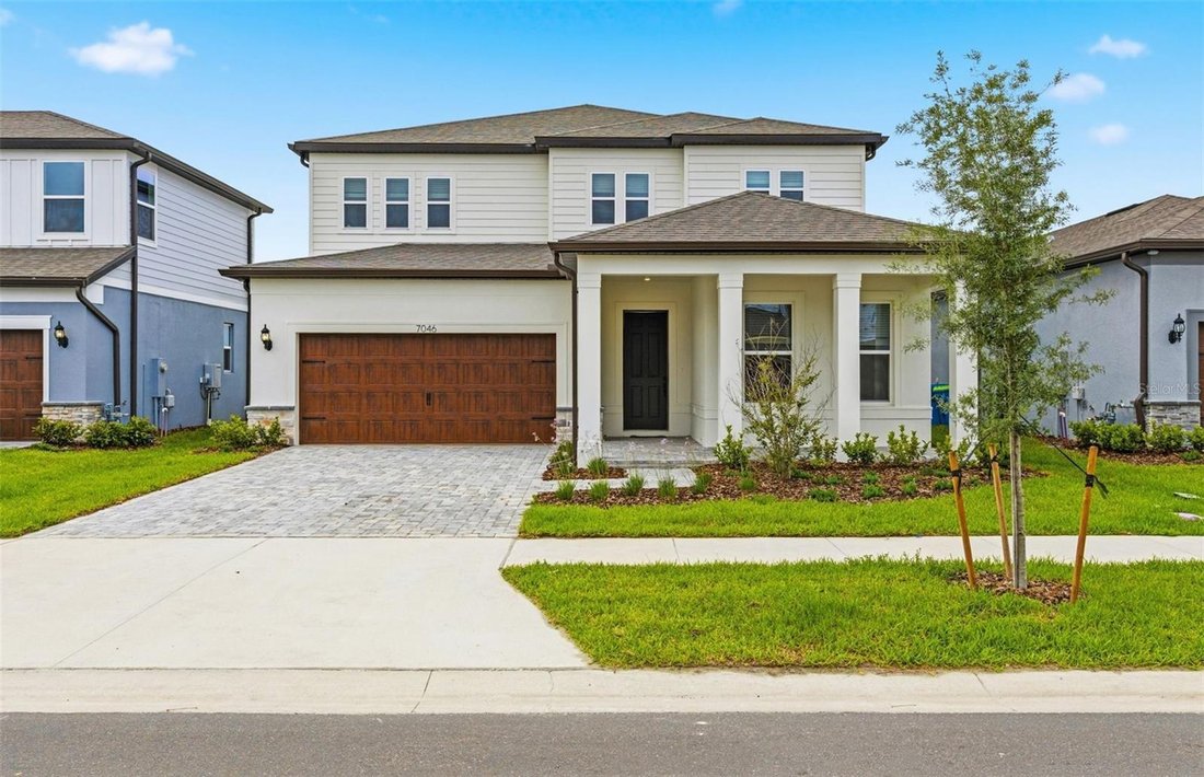 House in Wesley Chapel, Florida, United States 1 - 17247227