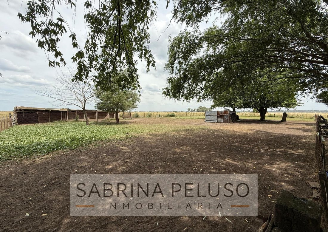 Land in Cañuelas, Buenos Aires Province, Argentina 4 - 18632971