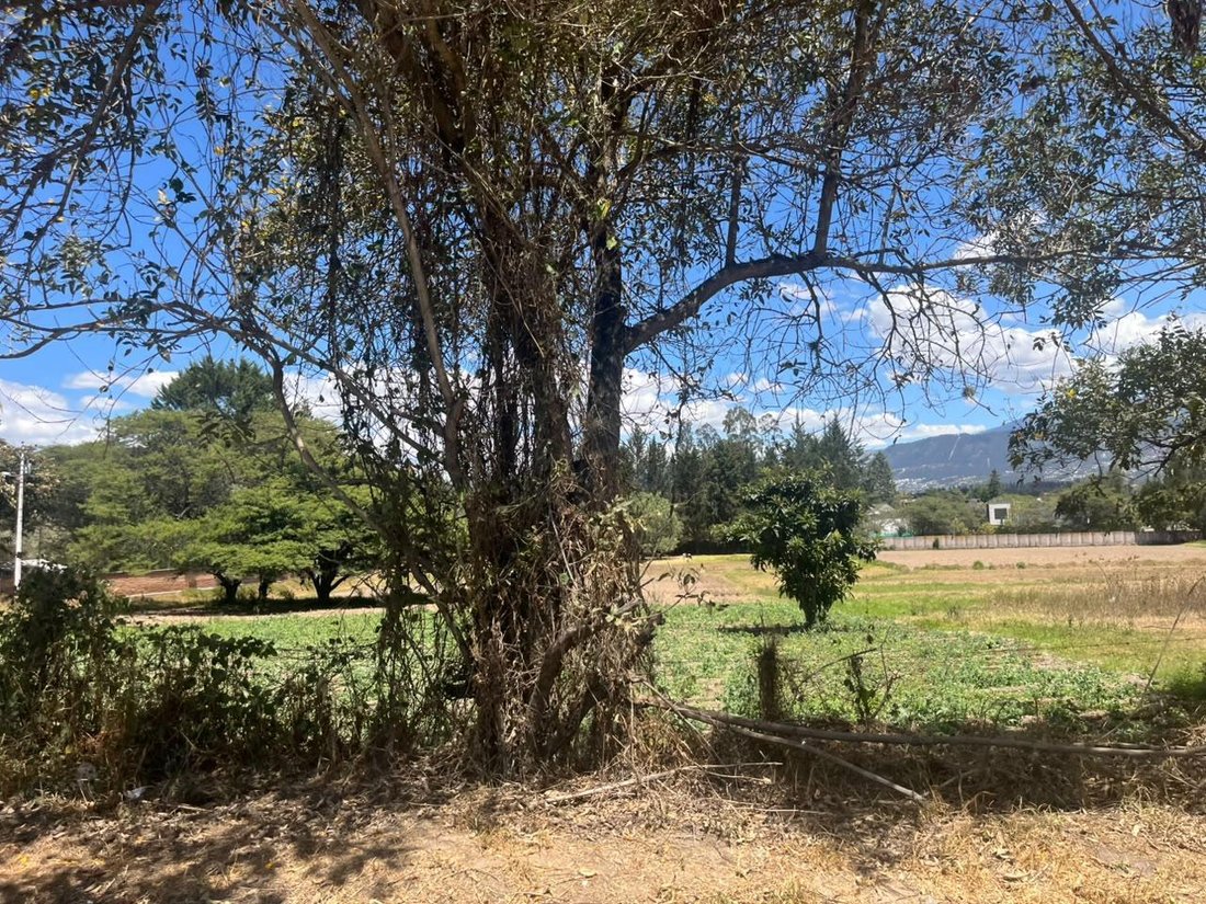 Land in Quito, Pichincha, Ecuador 2 - 18634460