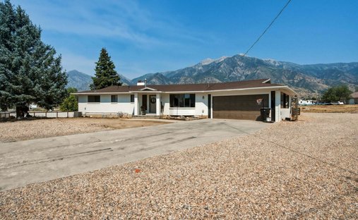 House in Mona, Utah, United States 1
