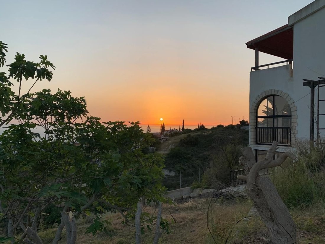 Villa in Tala, Paphos, Cyprus 1 - 16377210