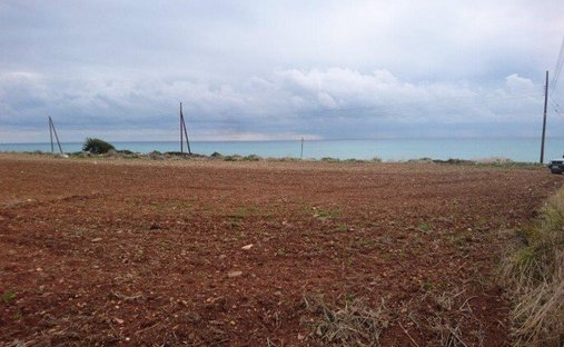 Land in Agios Theodoros, Larnaca, Cyprus 1