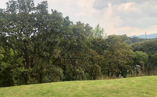 Land in Mexico City, Mexico 1