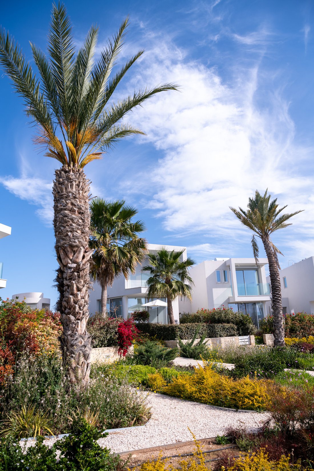 Villa in Peyia, Paphos, Cyprus 1 - 17221597