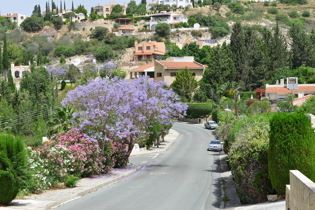 Villa in Tala, Paphos, Cyprus 4 - 17221944