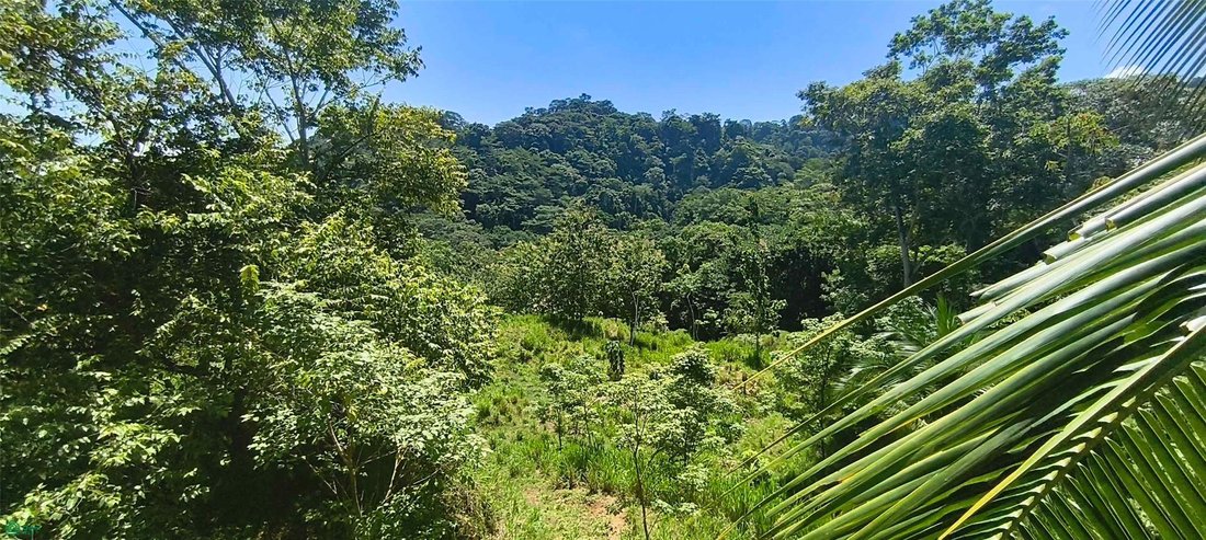 Land in Pavones, Puntarenas Province, Costa Rica 5 - 18637527