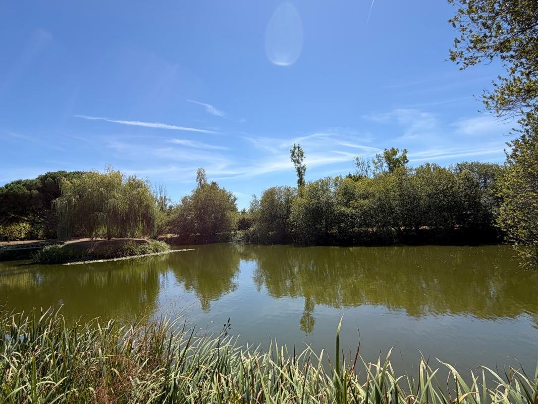 Farm Ranch in Soullans, Pays de la Loire, France 2 - 18634683
