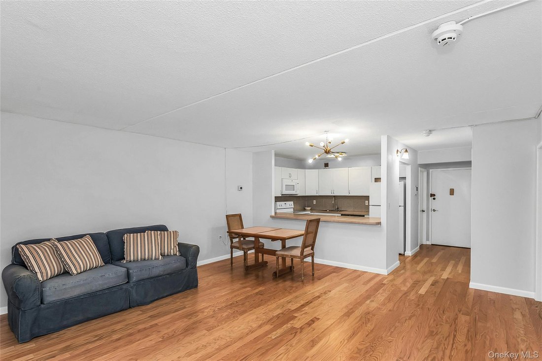 Condo in Albertson, New York, United States 5 - 18638701
