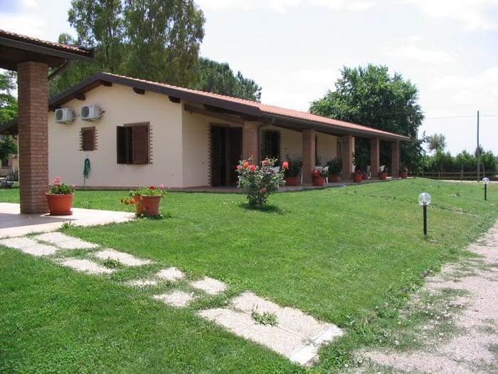 Rusellae, Tuscany, Italy 1 - 18638823
