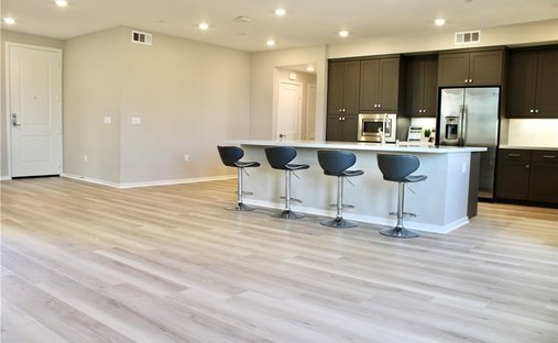 House in Irvine, California, United States 1