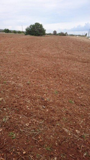 Land in Agios Theodoros, Larnaca, Cyprus 4 - 16372581