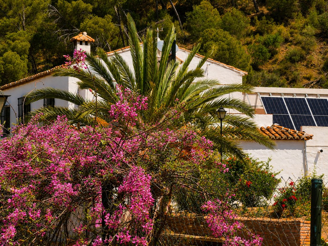 Country House in Colmenar, Andalusia, Spain 1 - 12880889