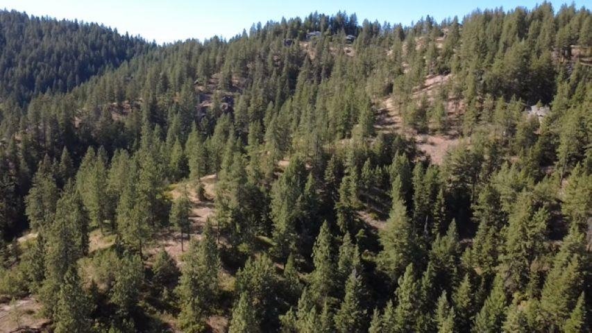 Land in Otis Orchards-East Farms, Washington, United States 3 - 18639846