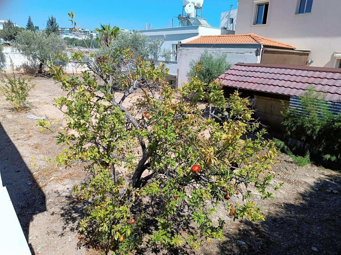 Land in Mesa Geitonia, Limassol, Cyprus 2 - 16373910