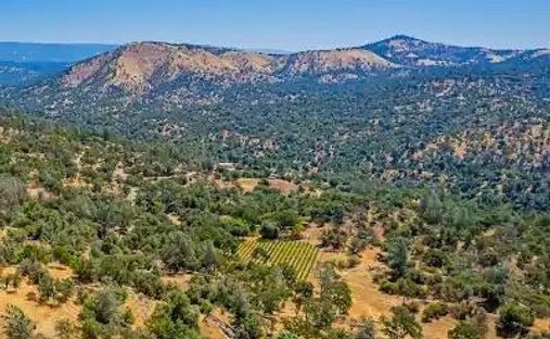 House in O'Neals, California, United States 1