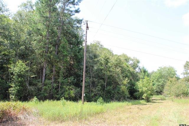 Land in Jacksonville, Texas, United States 4 - 18636787
