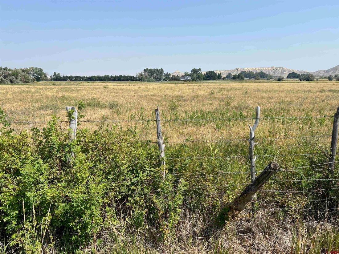 Montrose, Colorado, United States 4 - 18634379