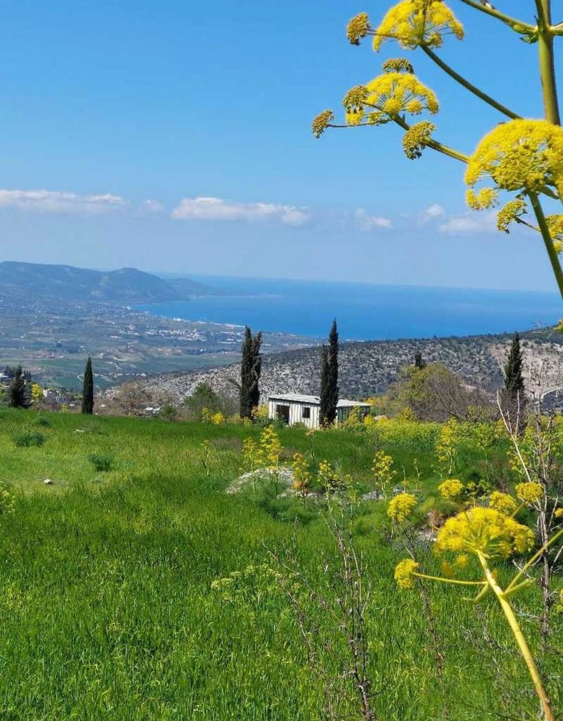 Land in Poli Crysochous, Paphos, Cyprus 1 - 16379926