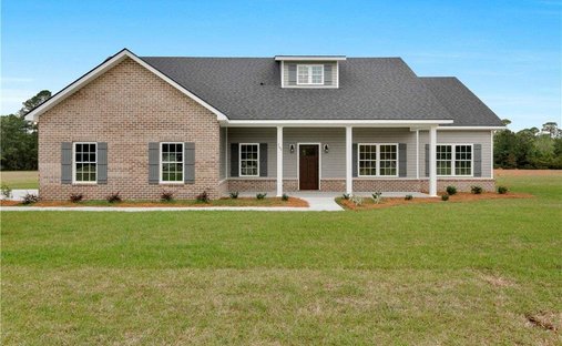 House in Ludowici, Georgia, United States 1