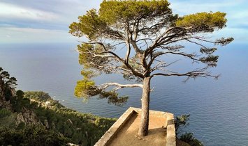 Country House in Estellencs, Balearic Islands, Spain 1