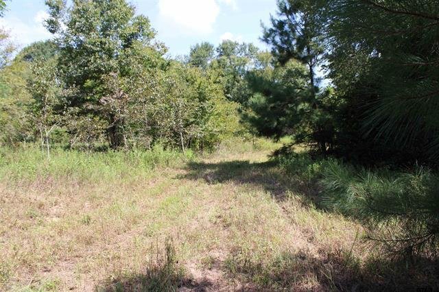 Land in Jacksonville, Texas, United States 3 - 18636787