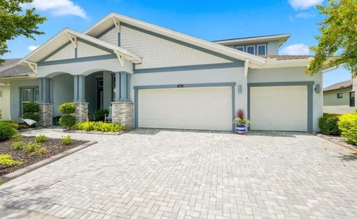 House in Land O' Lakes, Florida, United States 1