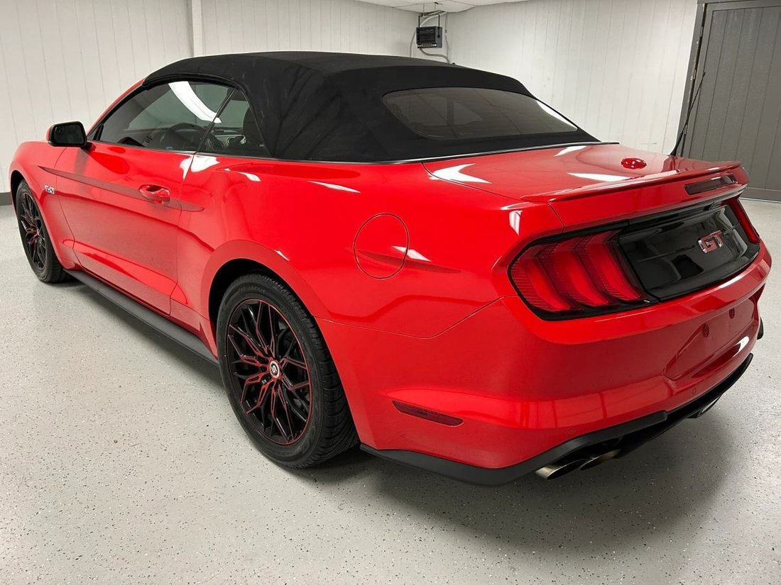Cabriolet in Blue Springs, MO, United States 5 - 18634956