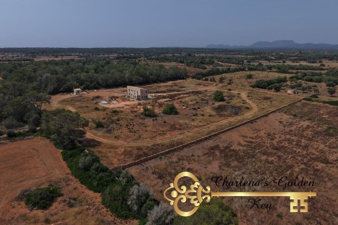 Finca en Campos, Islas Baleares, España 4 - 18089128