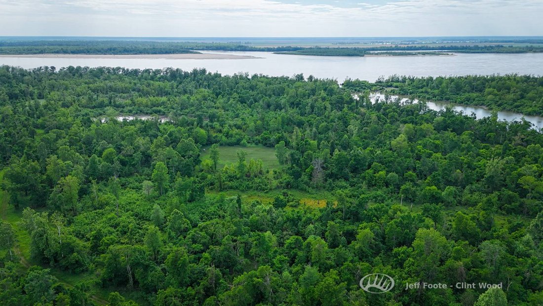 Land in Glen Allan, Mississippi, United States 2 - 18640103