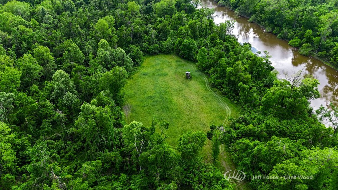 Land in Glen Allan, Mississippi, United States 4 - 18640103